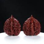 "Qilin Scale Pattern" Imperial Machine-Polished Qilin Guanmao Wenwan Walnuts Pair | Size:43L*43W*48H | UPI:UR-00001
