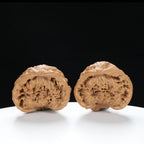 "Snake Head" Collector's Hand-Matched Rare Snake Head Treasure Basin Wenwan Walnuts Pair | Size:42L*29W*35H | UPI:UR-00002