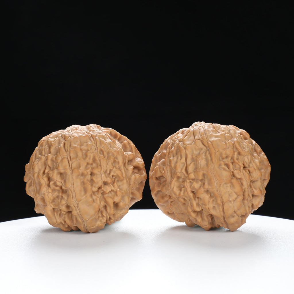 "Snake Head" Collector's Hand-Matched Rare Snake Head Treasure Basin Wenwan Walnuts Pair | Size:42L*29W*35H | UPI:UR-00002