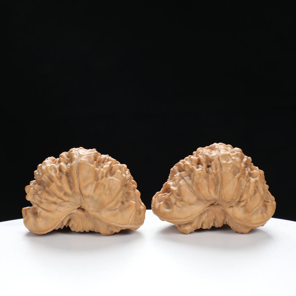 "Snake Head" Collector's Hand-Matched Rare Snake Head Treasure Basin Wenwan Walnuts Pair | Size:42L*29W*35H | UPI:UR-00002