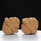 "Millstone" Classic Wenwan Walnuts Pair | Size:36L*35W*34H | UPI:UR-00003