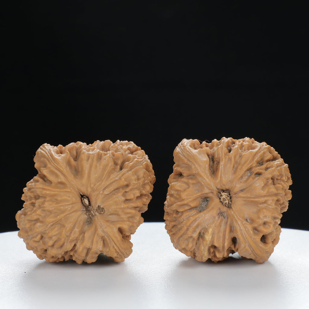 "Millstone" Classic Wenwan Walnuts Pair | Size:36L*35W*34H | UPI:UR-00003