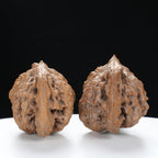 “Si Zuo Lou” Auspicious Bat-Shaped Sizhoulou Lion Head Wenwan Walnuts Pair | Size:44L*29W*33H | UPI:UR-00129