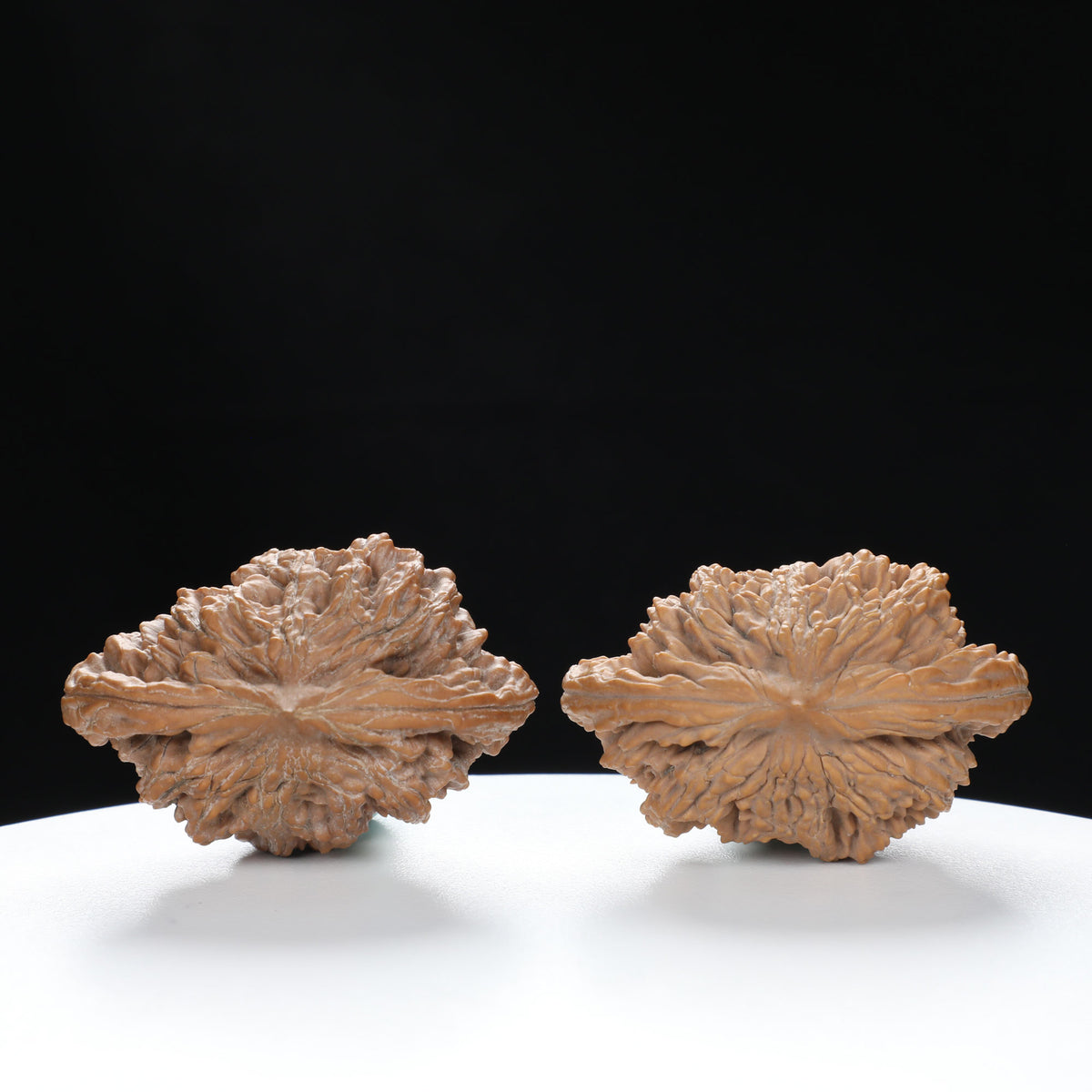 “Si Zuo Lou” Auspicious Bat-Shaped Sizhoulou Lion Head Wenwan Walnuts Pair | Size:44L*29W*33H | UPI:UR-00129