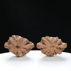 “Si Zuo Lou” Auspicious Bat-Shaped Sizhoulou Lion Head Wenwan Walnuts Pair | Size:44L*29W*33H | UPI:UR-00129