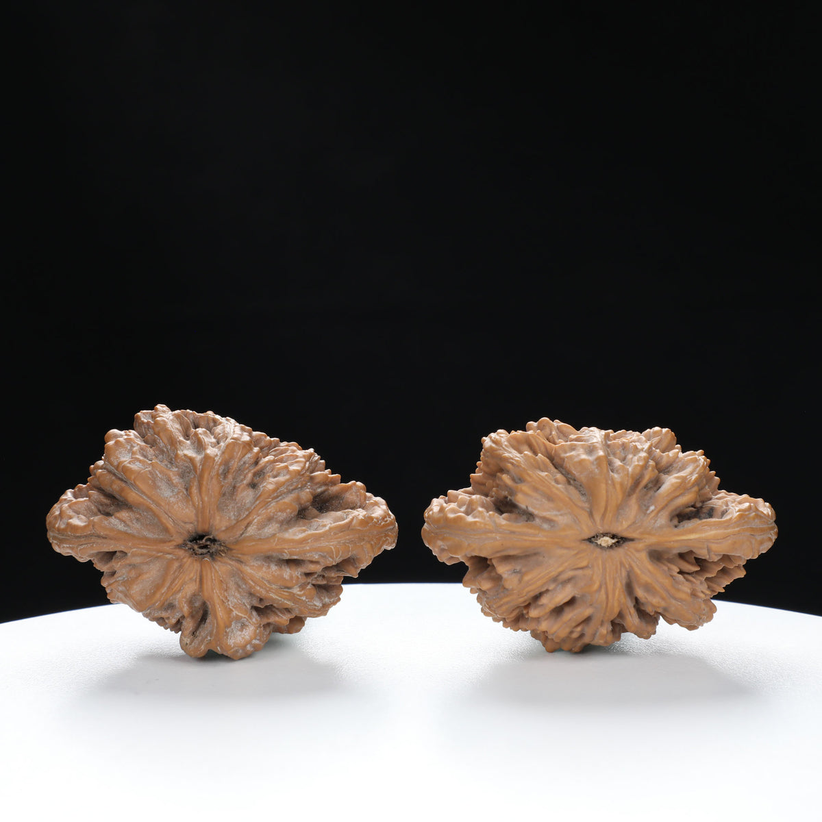 “Si Zuo Lou” Auspicious Bat-Shaped Sizhoulou Lion Head Wenwan Walnuts Pair | Size:44L*29W*33H | UPI:UR-00129