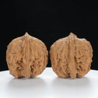 "Noble's Hat" Timeless entry level Wenwan Walnuts Pair | Size:40L*40W*40H | UPI:UR-00005