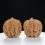 "Noble's Hat" Timeless entry level Wenwan Walnuts Pair | Size:40L*40W*40H | UPI:UR-00005
