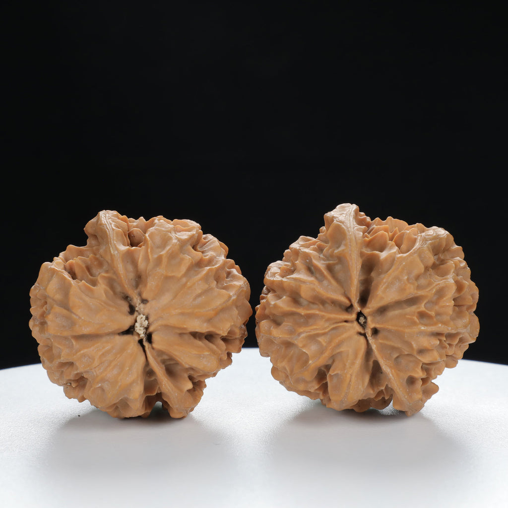 "Noble's Hat" Timeless entry level Wenwan Walnuts Pair | Size:40L*40W*40H | UPI:UR-00005