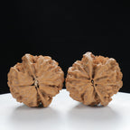 "Noble's Hat" Timeless entry level Wenwan Walnuts Pair | Size:40L*40W*40H | UPI:UR-00005
