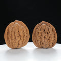 "Wheat Ear Tiger" Traditional entry level Wenwan Walnuts Pair | Size:38L*36W*40H | UPI:UR-00007