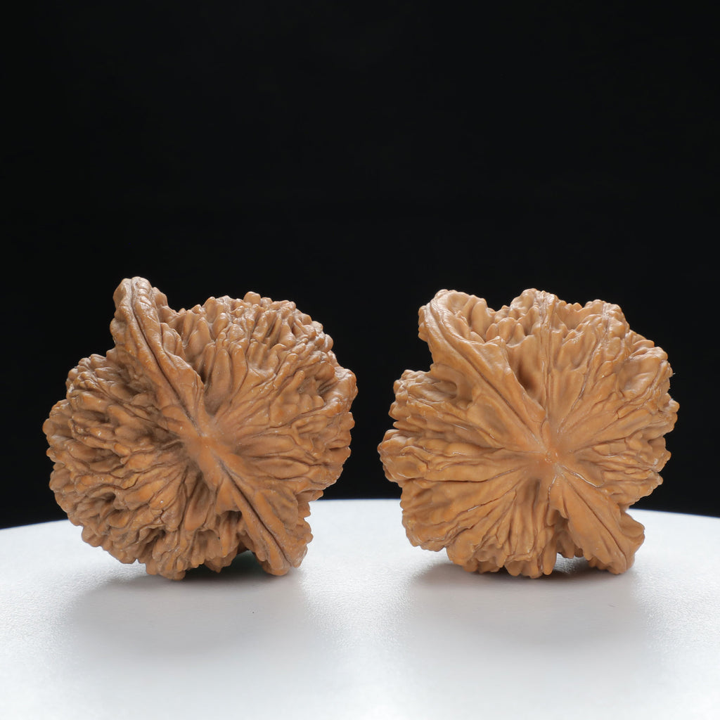 "Wheat Ear Tiger" Traditional entry level Wenwan Walnuts Pair | Size:38L*36W*40H | UPI:UR-00007