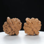 "Wheat Ear Tiger" Traditional entry level Wenwan Walnuts Pair | Size:38L*36W*40H | UPI:UR-00007