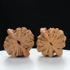 "Wheat Ear Tiger" Traditional entry level Wenwan Walnuts Pair | Size:38L*36W*40H | UPI:UR-00007