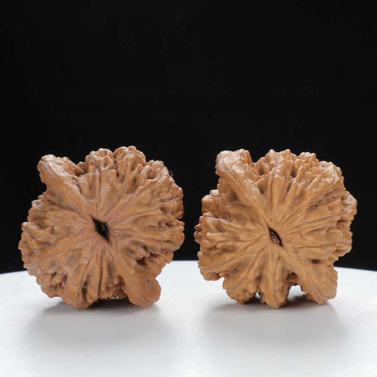 "Wheat Ear Tiger" Traditional entry level Wenwan Walnuts Pair | Size:38L*36W*40H | UPI:UR-00007