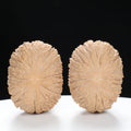 “Golden Monkey Head” Golden Thread Monkey Head Wenwan Walnuts Pair | Size:40L*30W*33H | UPI:UR-00095