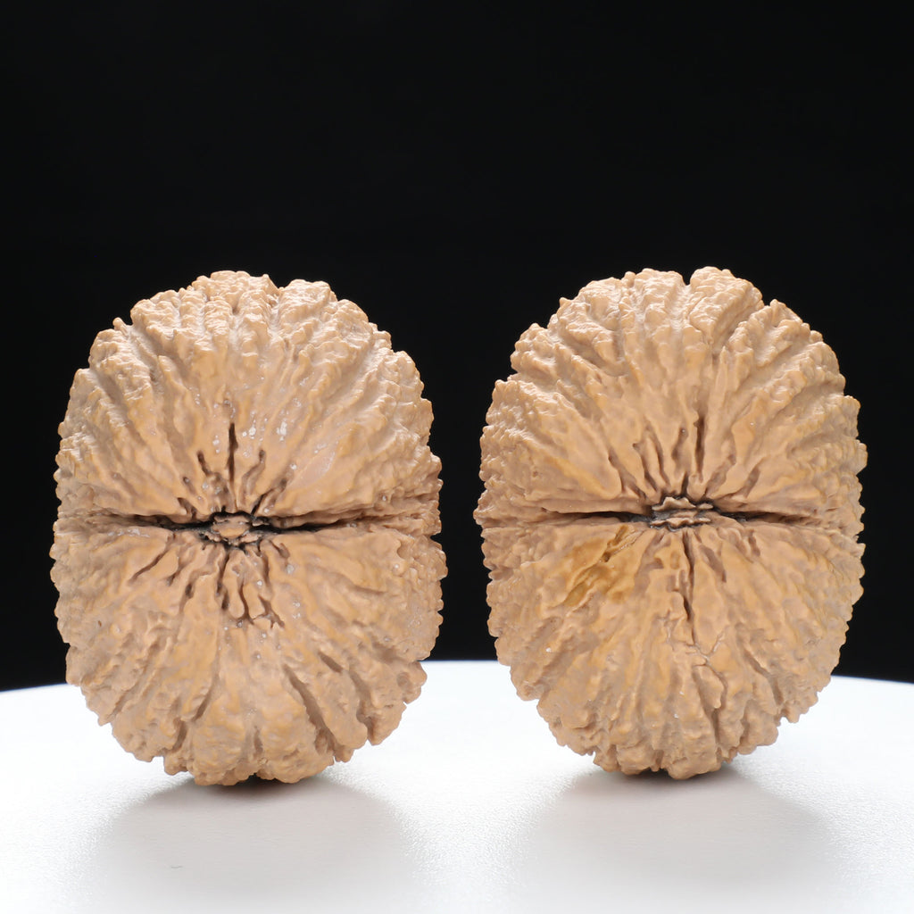 “Golden Monkey Head” Golden Thread Monkey Head Wenwan Walnuts Pair | Size:40L*30W*33H | UPI:UR-00095