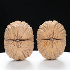 “Golden Monkey Head” Golden Thread Monkey Head Wenwan Walnuts Pair | Size:40L*30W*33H | UPI:UR-00095
