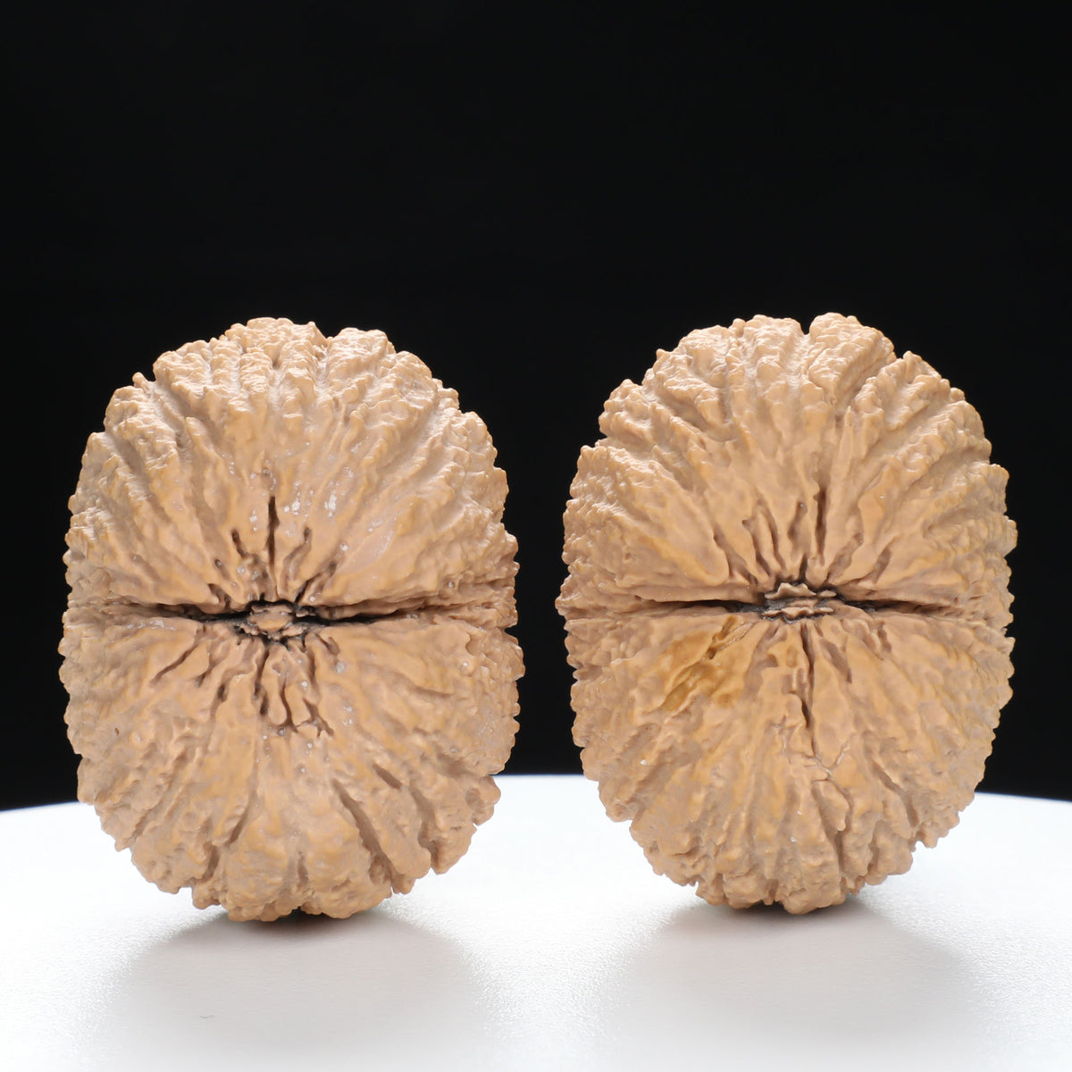 “Golden Monkey Head” Golden Thread Monkey Head Wenwan Walnuts Pair | Size:40L*30W*33H | UPI:UR-00095