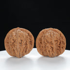 "Si Zuo Lou" Heritage entry level Wenwan Walnuts Pair | Size:39L*38W*37H | UPI:UR-00009