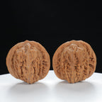 "Si Zuo Lou" Heritage entry level Wenwan Walnuts Pair | Size:39L*38W*37H | UPI:UR-00009