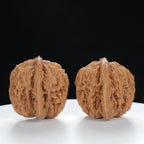 "Si Zuo Lou" Heritage entry level Wenwan Walnuts Pair | Size:39L*38W*37H | UPI:UR-00009