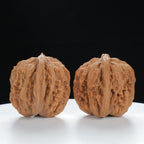 "Si Zuo Lou" Heritage entry level Wenwan Walnuts Pair | Size:39L*38W*37H | UPI:UR-00009