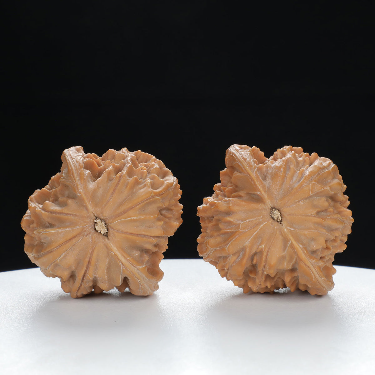 "Millstone" Signature entry level Wenwan Walnuts Pair | Size:37L*34W*30H | UPI:UR-00010