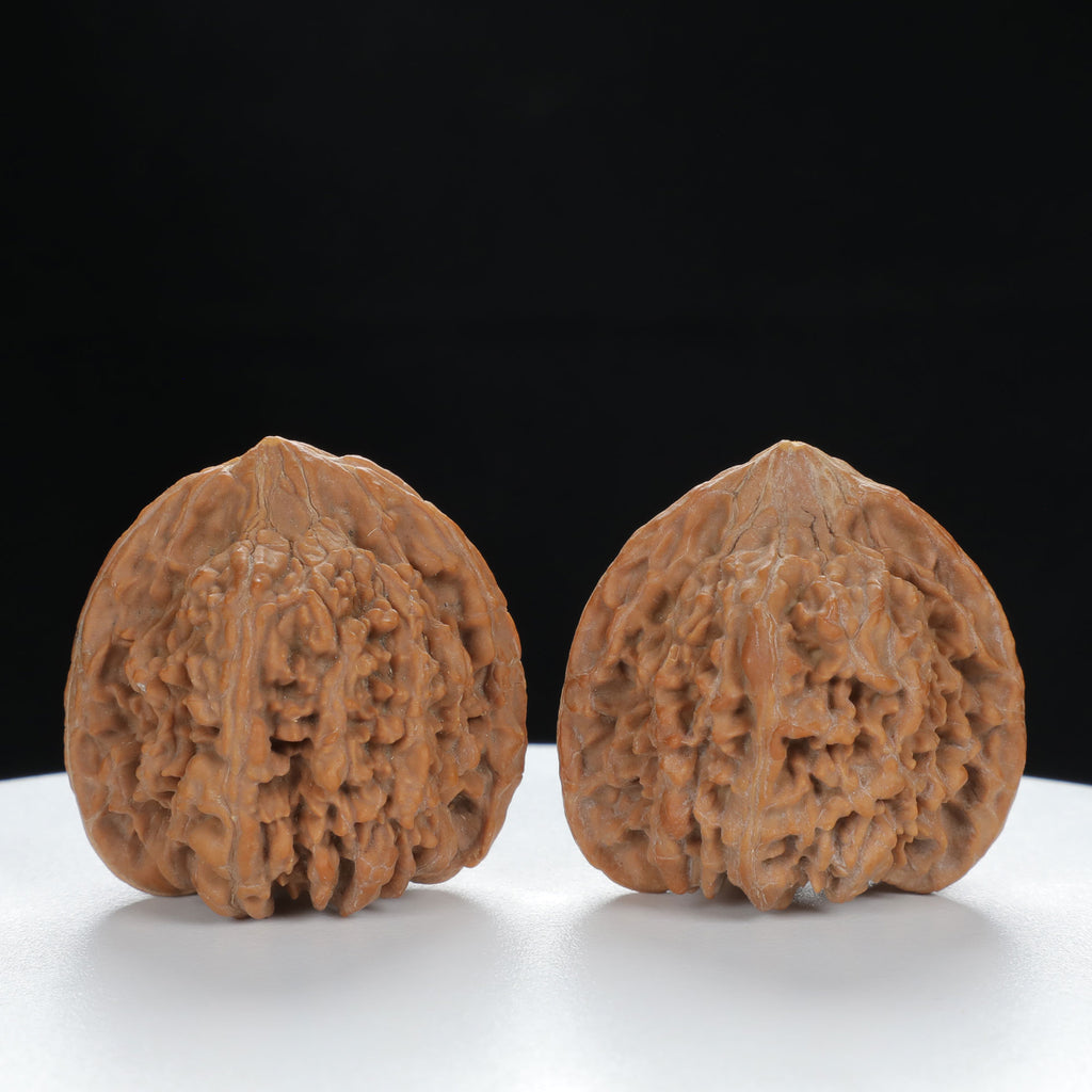 "Starry Sky" Distinctive entry level Wenwan Walnuts Pair | Size:36L*34W*35H | UPI:UR-00011