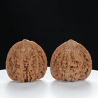 "Starry Sky" Distinctive entry level Wenwan Walnuts Pair | Size:36L*34W*35H | UPI:UR-00011