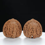 "Starry Sky" Distinctive entry level Wenwan Walnuts Pair | Size:36L*34W*35H | UPI:UR-00011