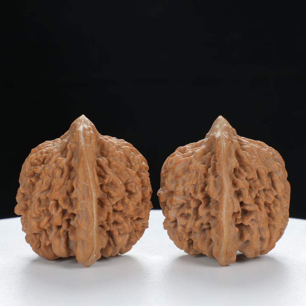 "Starry Sky" Distinctive entry level Wenwan Walnuts Pair | Size:36L*34W*35H | UPI:UR-00011