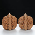 "Starry Sky" Distinctive entry level Wenwan Walnuts Pair | Size:36L*34W*35H | UPI:UR-00011