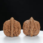 "Starry Sky" Distinctive entry level Wenwan Walnuts Pair | Size:36L*34W*35H | UPI:UR-00011