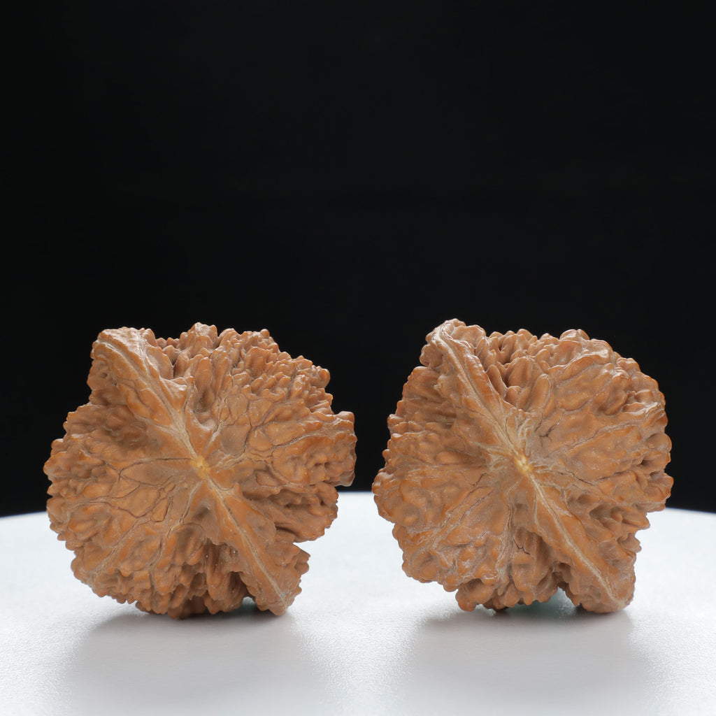 "Starry Sky" Distinctive entry level Wenwan Walnuts Pair | Size:36L*34W*35H | UPI:UR-00011