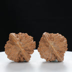 "Starry Sky" Distinctive entry level Wenwan Walnuts Pair | Size:36L*34W*35H | UPI:UR-00011