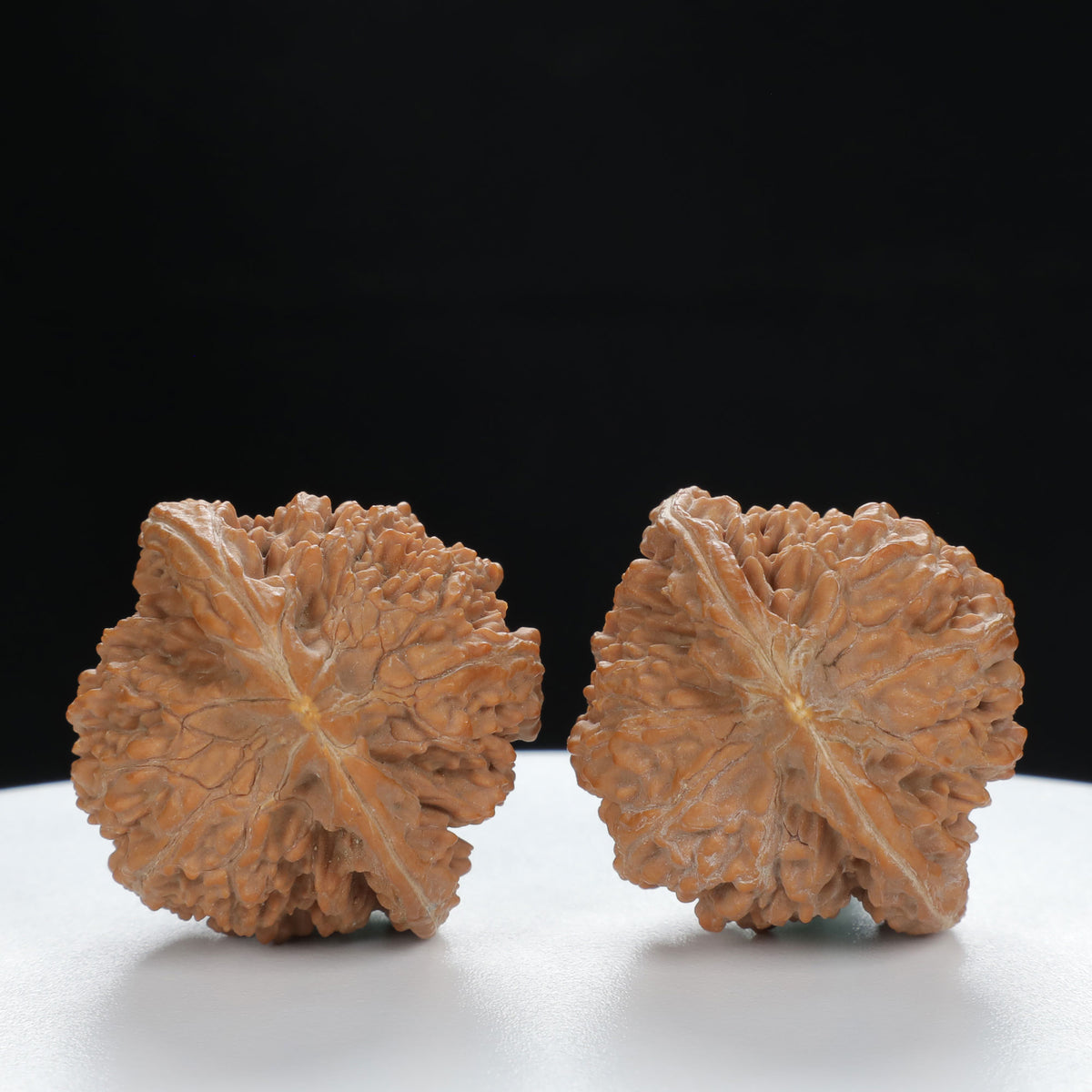"Starry Sky" Distinctive entry level Wenwan Walnuts Pair | Size:36L*34W*35H | UPI:UR-00011