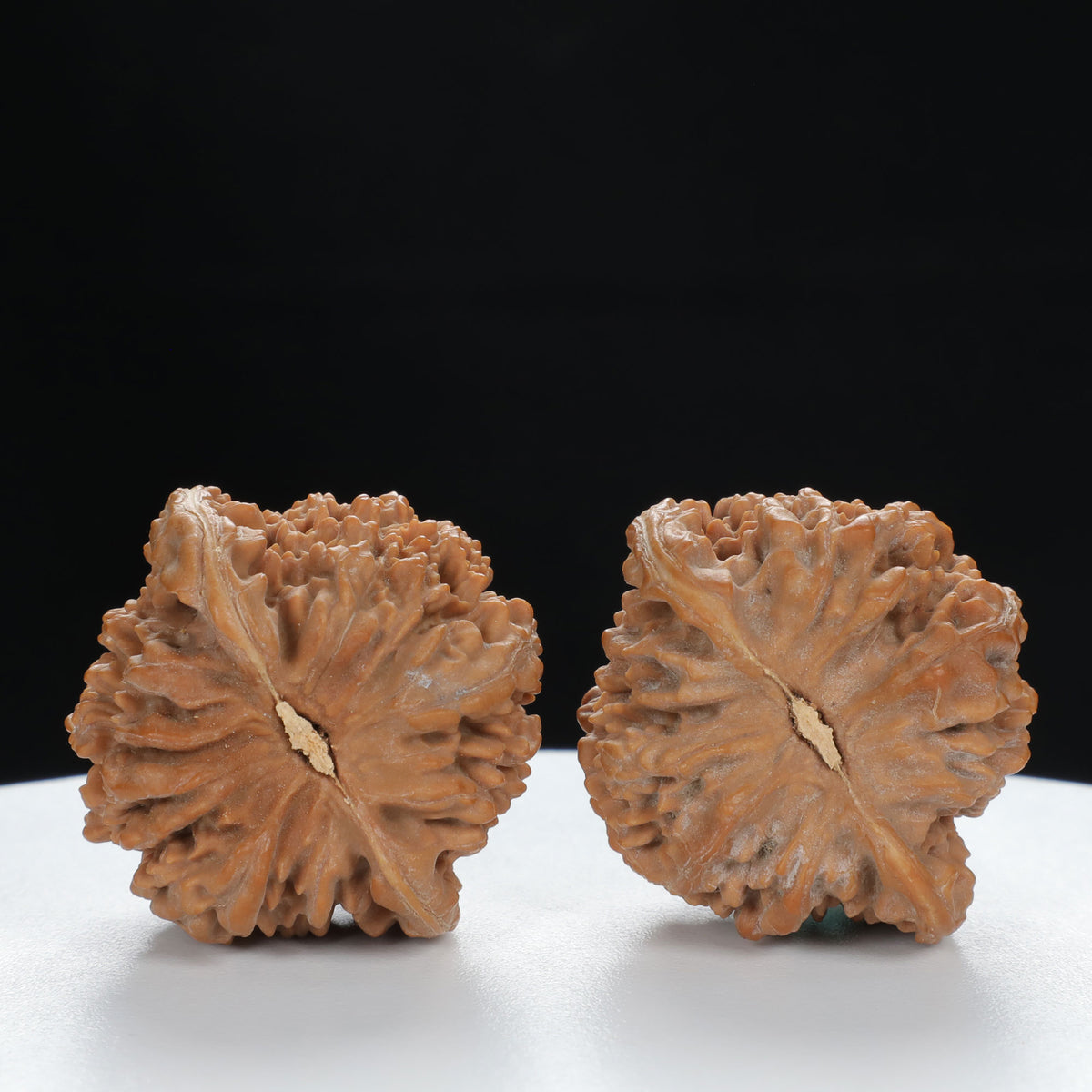 "Starry Sky" Distinctive entry level Wenwan Walnuts Pair | Size:36L*34W*35H | UPI:UR-00011