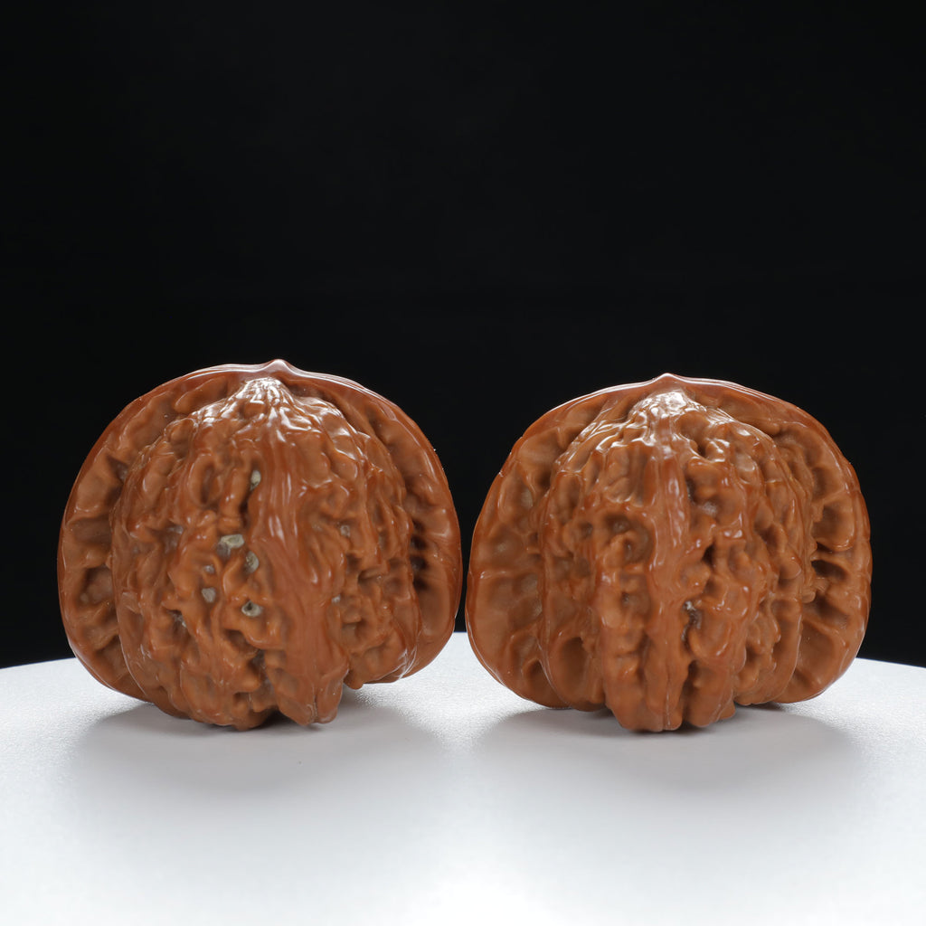 "White Lion's Head" Refined entry level Wenwan Walnuts Pair | Size:41L*43W*34H | UPI:UR-00012