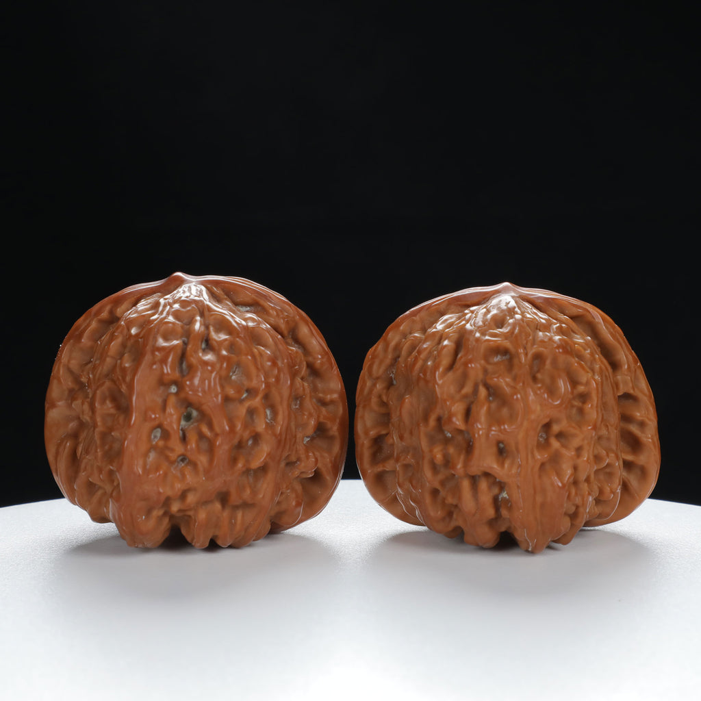"White Lion's Head" Refined entry level Wenwan Walnuts Pair | Size:41L*43W*34H | UPI:UR-00012