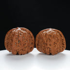 "White Lion's Head" Refined entry level Wenwan Walnuts Pair | Size:41L*43W*34H | UPI:UR-00012