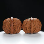 "White Lion's Head" Refined entry level Wenwan Walnuts Pair | Size:41L*43W*34H | UPI:UR-00012