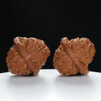 "White Lion's Head" Refined entry level Wenwan Walnuts Pair | Size:41L*43W*34H | UPI:UR-00012