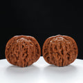 "Si Zuo Lou" Authentic entry level Wenwan Walnuts Pair | Size:42L*43W*35H | UPI:UR-00013