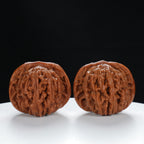 "Si Zuo Lou" Authentic entry level Wenwan Walnuts Pair | Size:42L*43W*35H | UPI:UR-00013