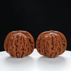 "Si Zuo Lou" Authentic entry level Wenwan Walnuts Pair | Size:42L*43W*35H | UPI:UR-00013