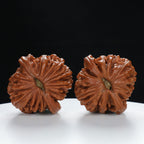 "Si Zuo Lou" Authentic entry level Wenwan Walnuts Pair | Size:42L*43W*35H | UPI:UR-00013