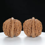 "Si Zuo Lou" Original entry level Wenwan Walnuts Pair | Size:44L*39W*38H | UPI:UR-00014