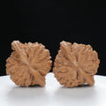 "Si Zuo Lou" Original entry level Wenwan Walnuts Pair | Size:44L*39W*38H | UPI:UR-00014