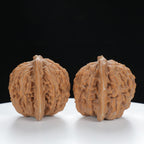 "Si Zuo Lou" Original entry level Wenwan Walnuts Pair | Size:44L*39W*38H | UPI:UR-00014